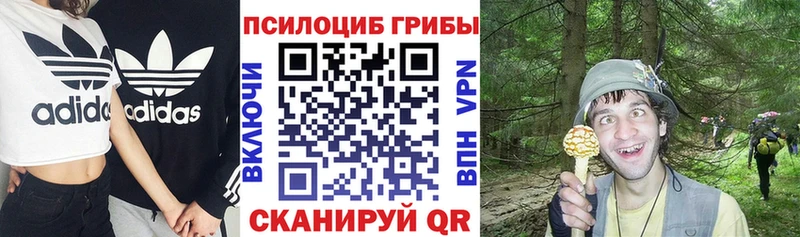 Галлюциногенные грибы мухоморы  Купить  Чапаевск 